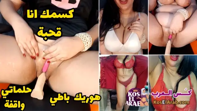 ميلف خبرة بكس هايج تعرض باطها وتفشخ كسمها وترقص جسمها ابن متناكة