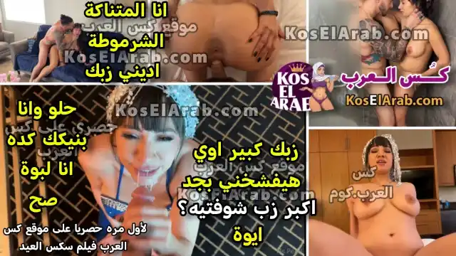 سكس العيد المتناكة ساشا المصرية في شقة مفروشة مع فلسطيني شق كسها وتقول زبك كبير هيفشخني
