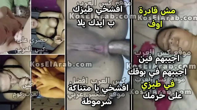 سكس مصري خلفي نيك مولع بينيك مراته وزبره مالي خرم طيزها يقولها اجيبهم فين تقوله في طيزي