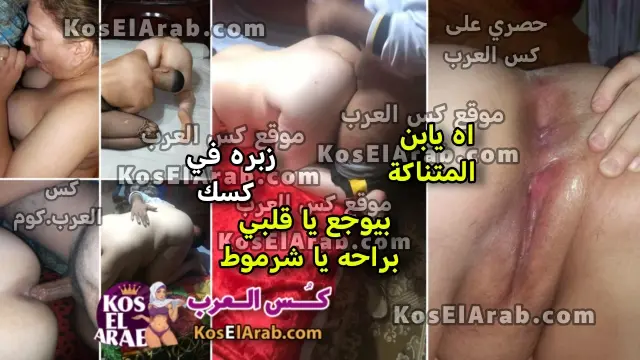 سكس مصري مربربه زوجها الديوث جايب صاحبه يدوق كسها ويقولها زبره في كسك تقوله يابن المتناكة